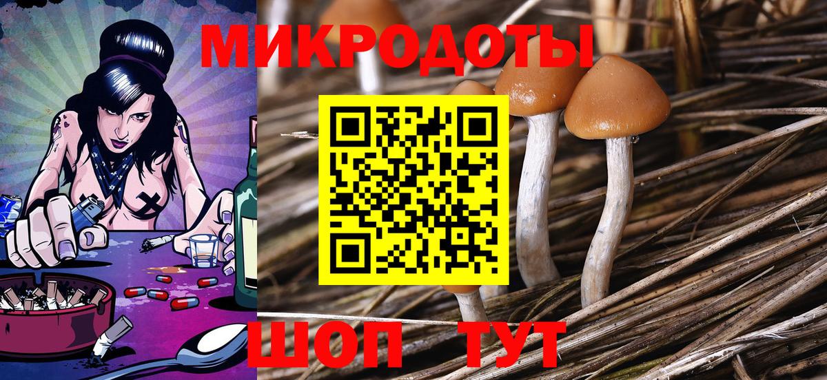 Галлюциногенные грибы ЛСД Кондопога