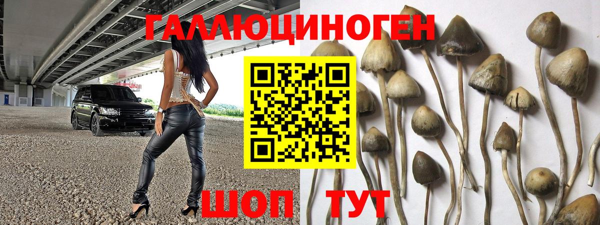 Кондопога  Галлюциногенные грибы Psilocybe  Вход с VPN 